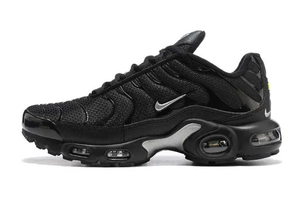 AIR MAX PLUS TN 'BLACK METALLIC SILVER'