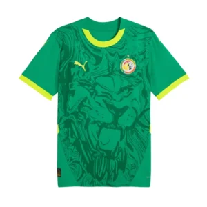 Camiseta Senegal 24/25 2ª equipación